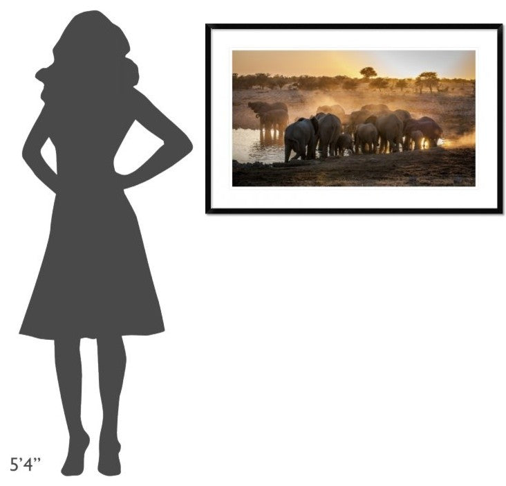 "Elephant Huddle" Framed Digital Print by Simon Van Ooijen, 44x28"