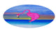 Flamingo designs coastal home chenille Area Rugs  60 inch from my art., Hot Pink