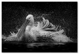 C S Tjandra 'Bath' Canvas Art, 12x19
