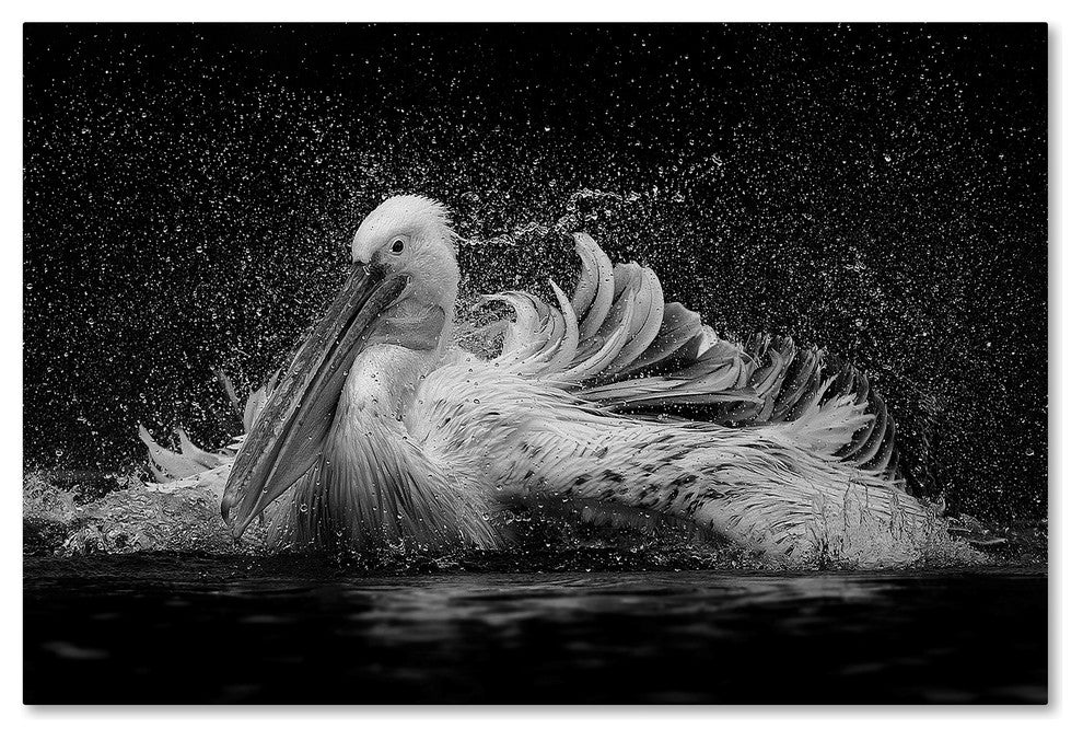 C S Tjandra 'Bath' Canvas Art, 12x19