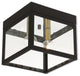 2 Light Outdoor Ceiling Mount, Bronze