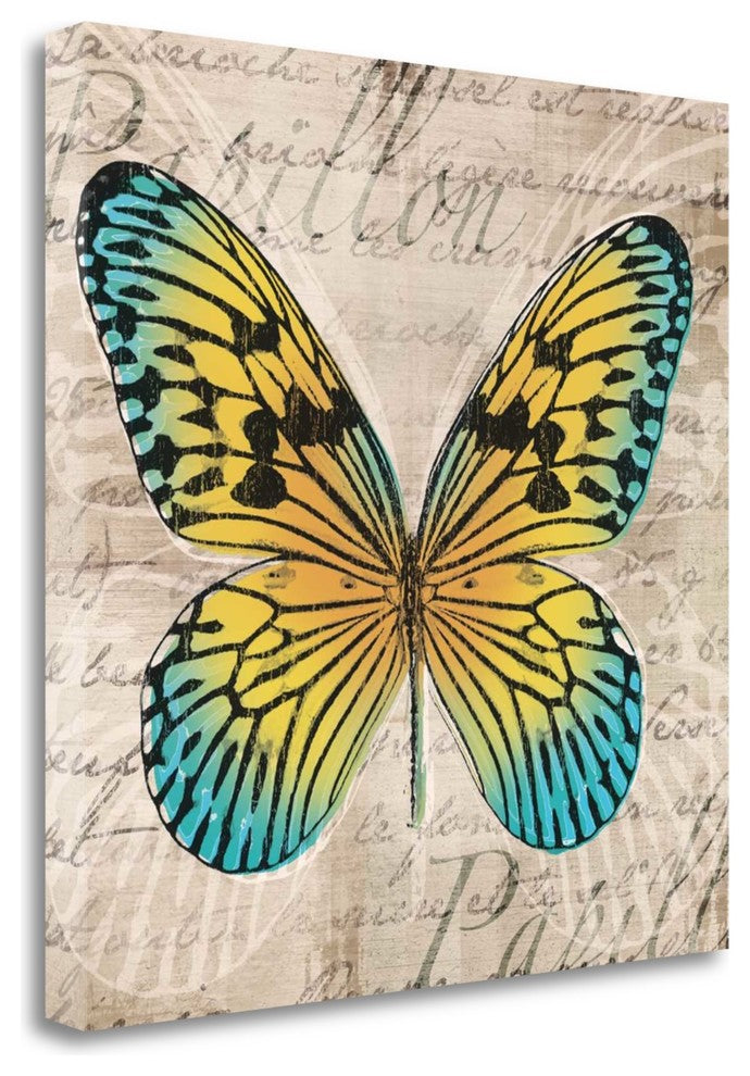 "Butterflies I" By Tandi Venter, Giclee Print on Gallery Wrap Canvas