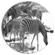 Herd Of Zebra Black And White, African Disc Metal Wall Art, 23"