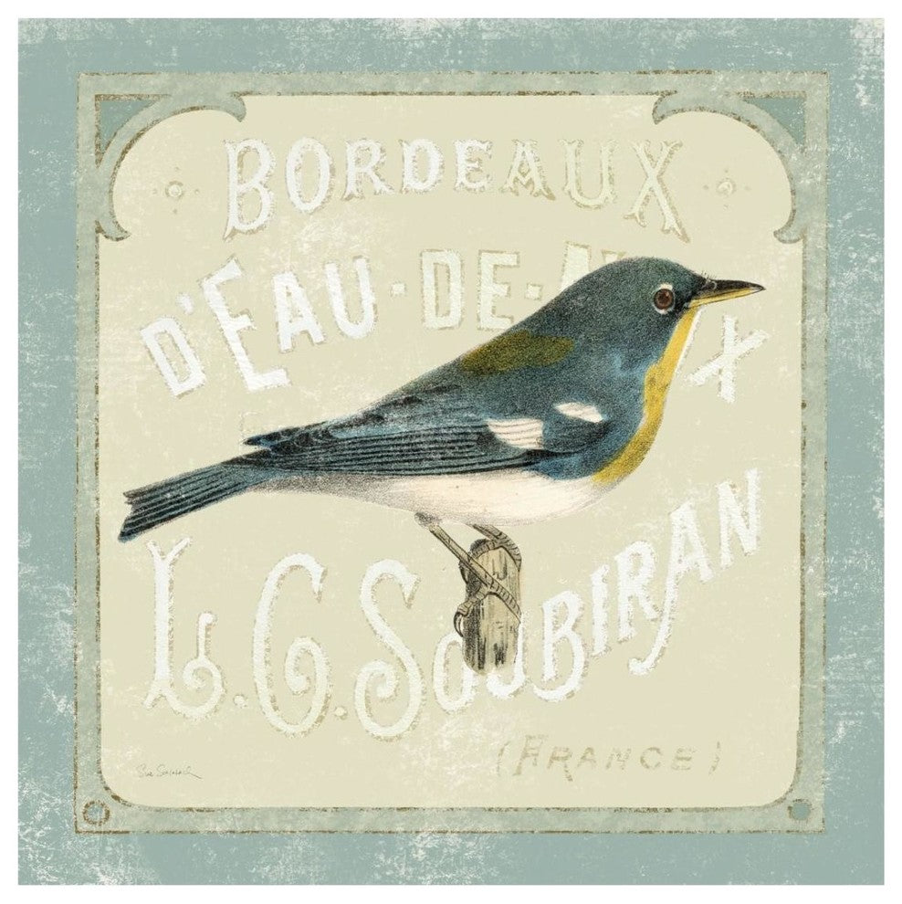 "Parisian Bird I" Digital Paper Print by Sue Schlabach, 26"x26"