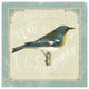 "Parisian Bird I" Digital Paper Print by Sue Schlabach, 26"x26"