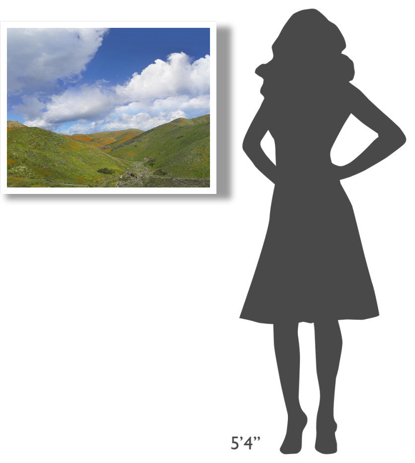 "Temescal Hills, southern California" Paper Print by Tim Fitzharris, 34"x26"