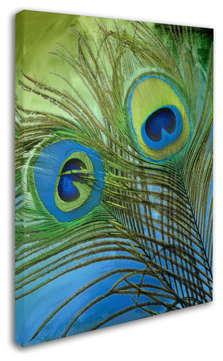 Color Bakery 'Peacock Candy I' Canvas Art, 18"x24"