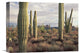 "Safford Peak And Saguaro Saguaro National Park, Arizona" Artwork, 16" x 12"