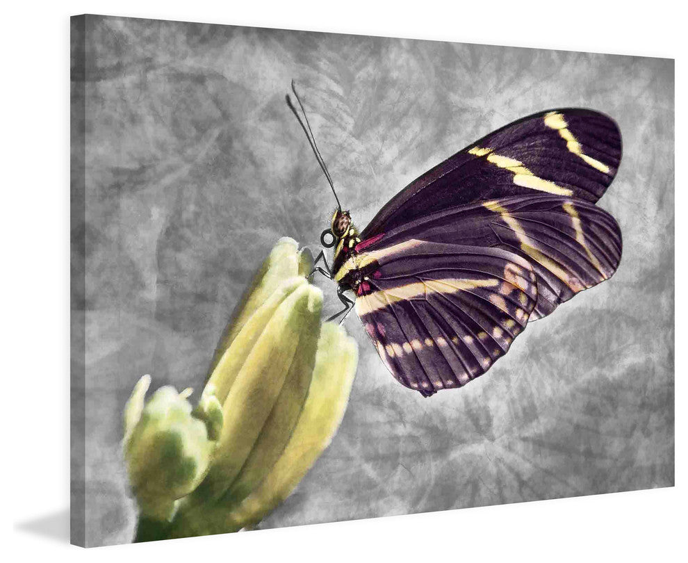 "Tropical Nature" Painting Print on Canvas by Robertson