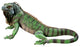 Iggy the Iguana Statue