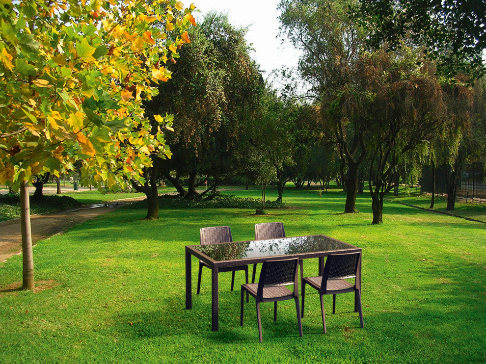 Compamia Verona Outdoor Dining Chairs, Set of 2, Brown