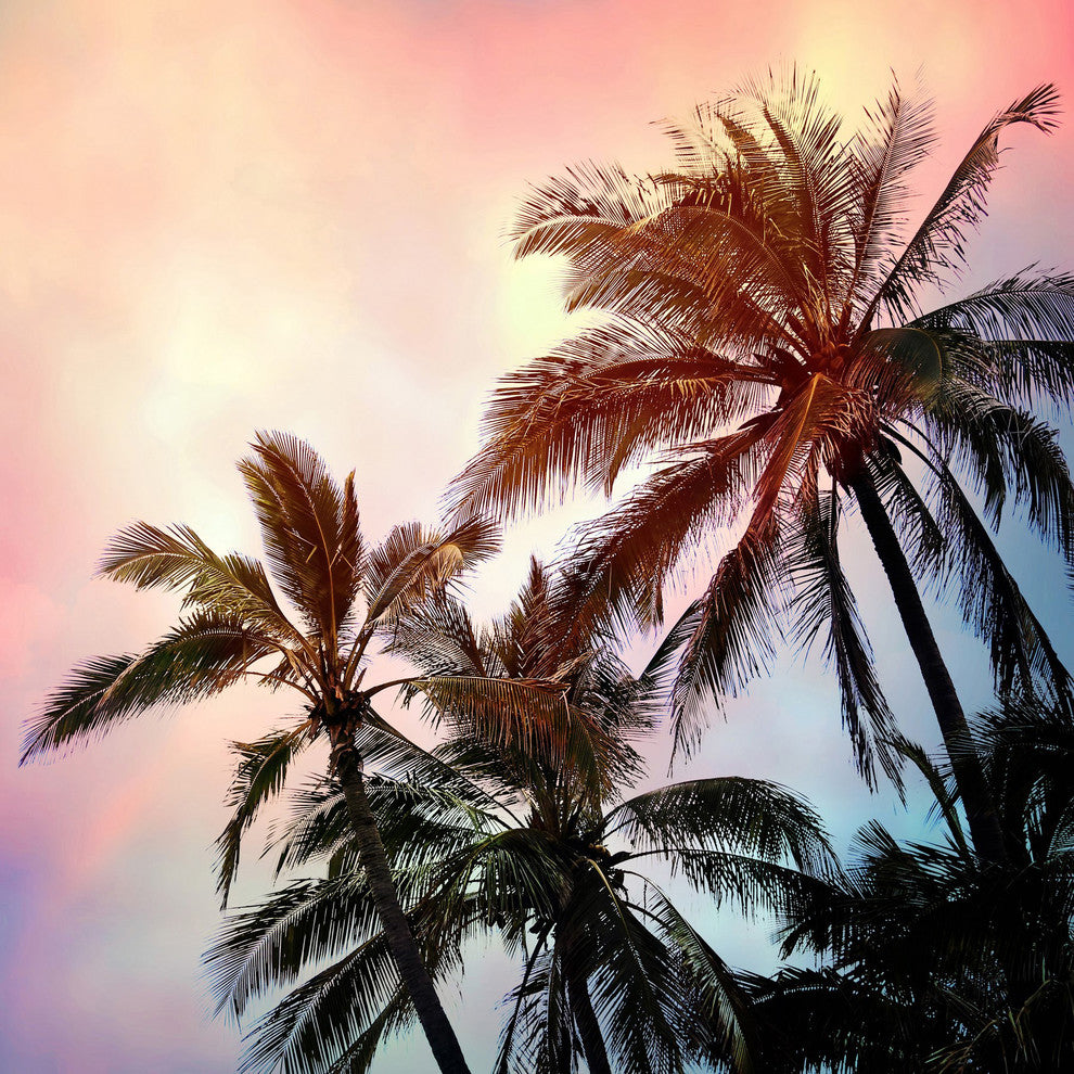 Marmont Hill, "Palms and Sunset" by Sylvia Cook Painting Wrapped Canvas, 24x24