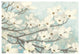 "Dogwood Blossoms II" Digital Paper Print by James Wiens, 32"x22"