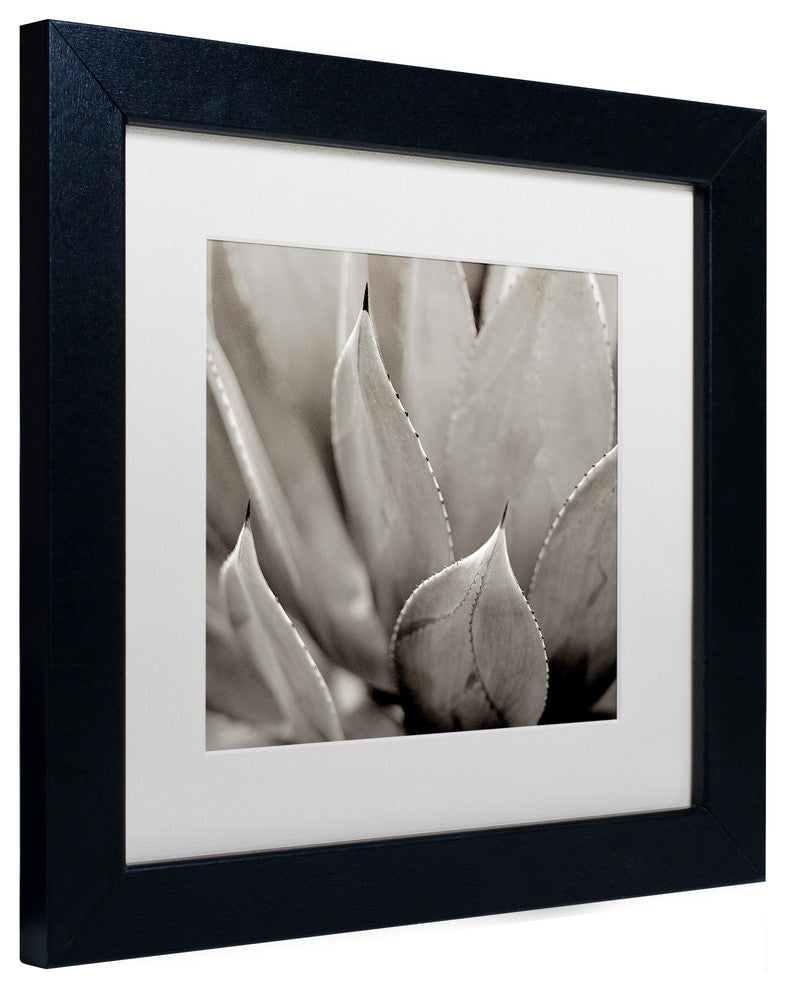 Alan Blaustein ''Florison 49'' Art, Black Frame, White Mat, 11x11
