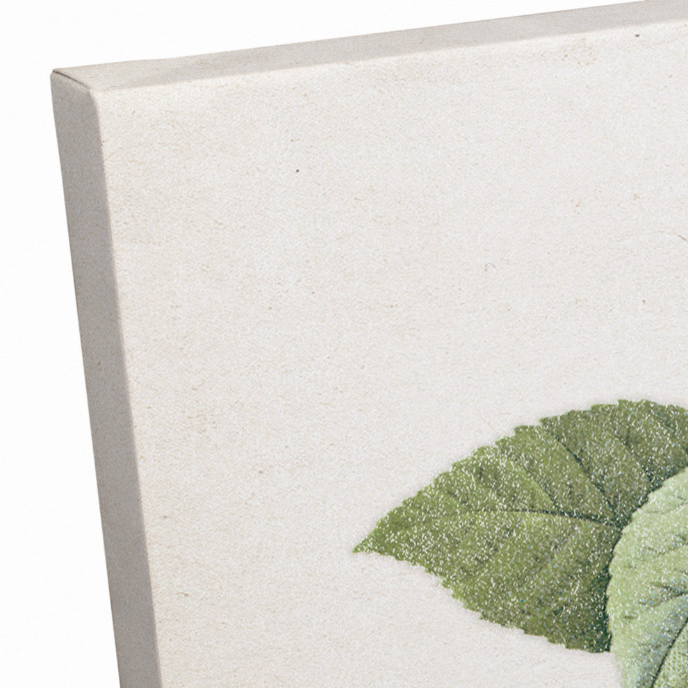 Just Peachy Vintage Peaches Canvas 16x20 Canvas Wall Art