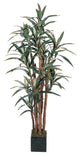 5' Yucca Silk Tree