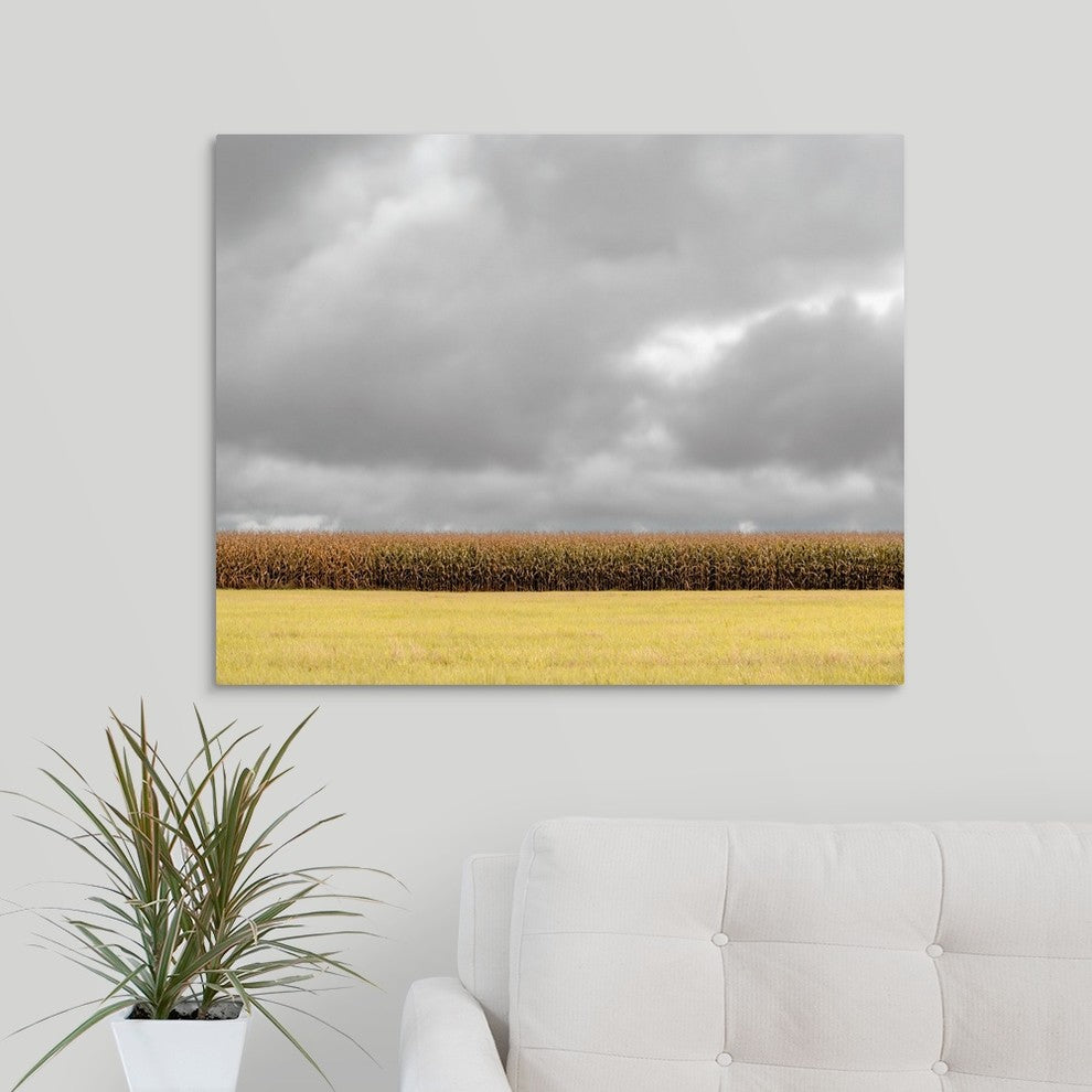 "Row of Corn" Wrapped Canvas Art Print, 30"x24"x1.5"