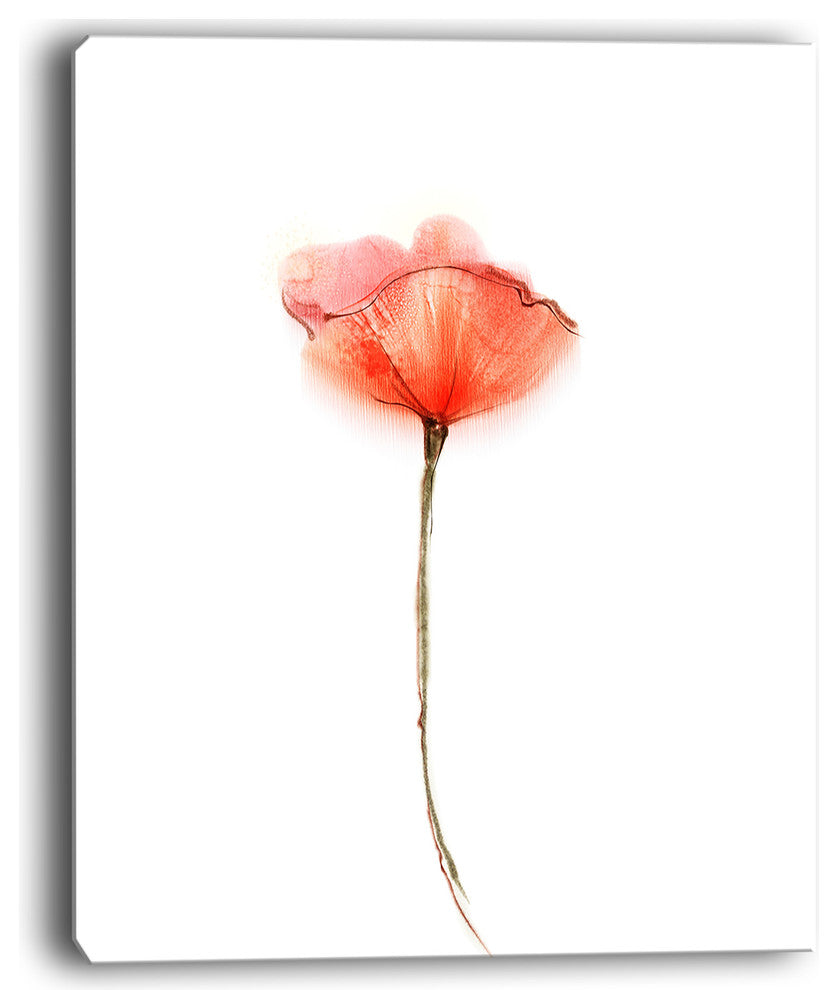 "Watercolor Large Red Poppy Flower" Flower Wall Art, 12"x20"
