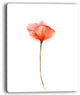 "Watercolor Large Red Poppy Flower" Flower Wall Art, 12"x20"