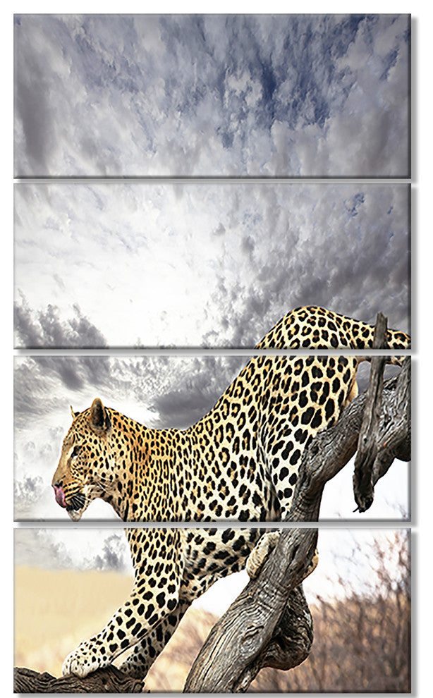 Leopard on Tree under Cloudy Sky, African Wall Art Print, 28"x48", 4 Panels