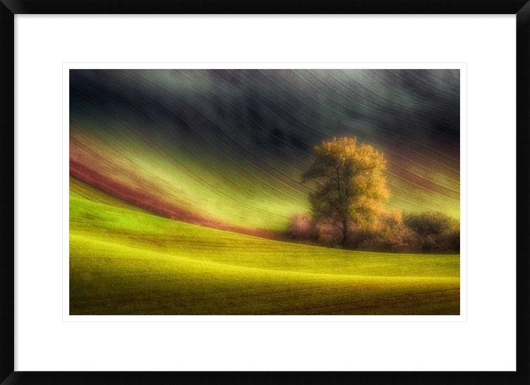 "Moravian Fields" Framed Digital Print by Piotr (Bax) Krol, 30x22"