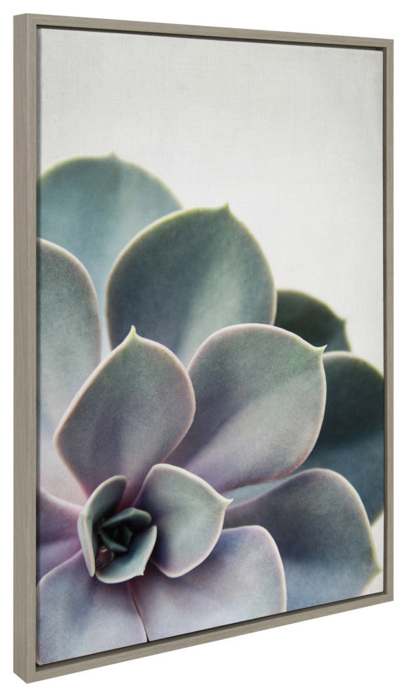 Sylvie Succulent 5 Framed Canvas by F2 Images, Gray 23x33
