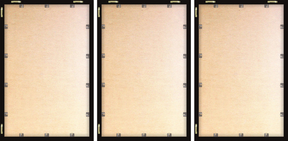 Future Beauties Triptych, Set of 3, 24x36 Panels