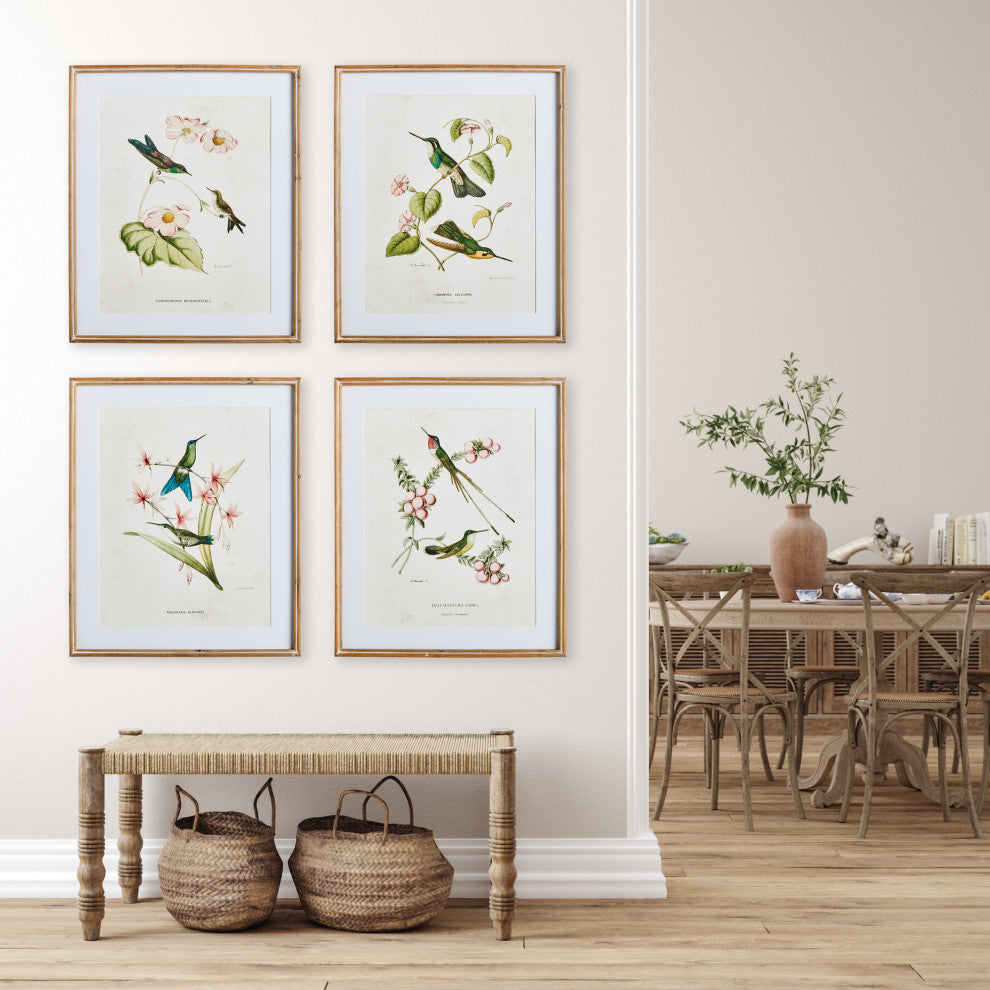 Hummingbirds With Blush Blooms Gallery, Set of 4