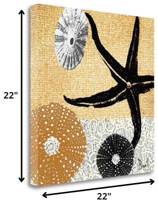 22" Golden Seashell Treasures  Giclee Wrap Canvas Wall Art