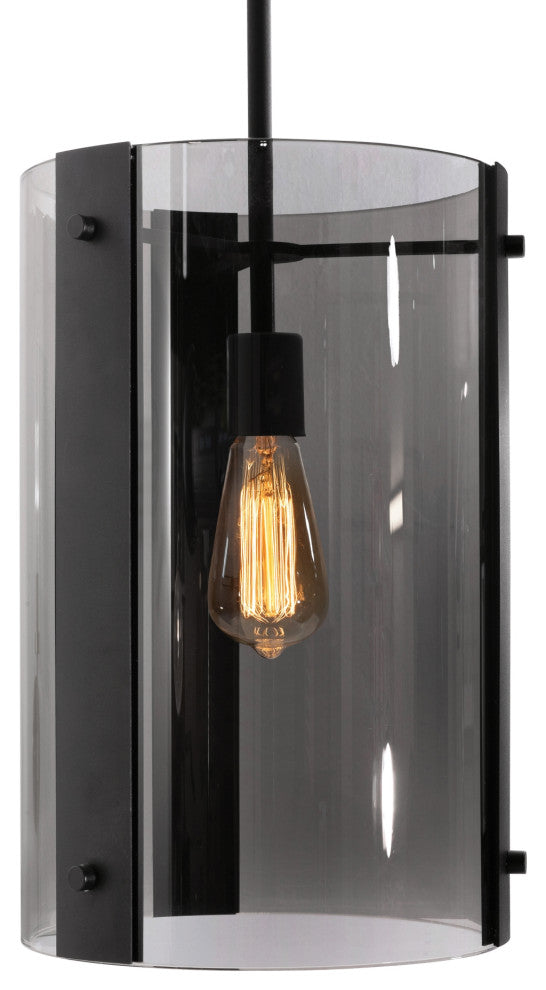 Dana Pendant 10" Black Finish, 120V