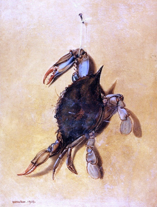 William Aiken Walker Crab, Gallery Wrapped Canvas Print, 21"x28"