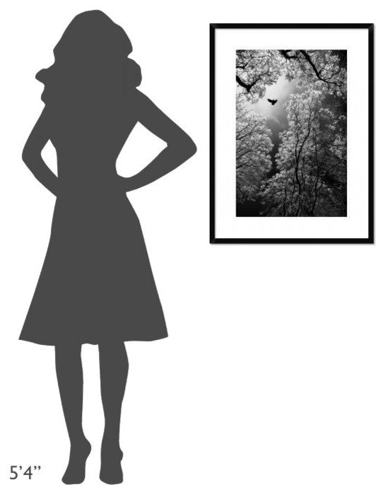 "Flight" Framed Digital Print by Goran Stamenkovic, 24x32"