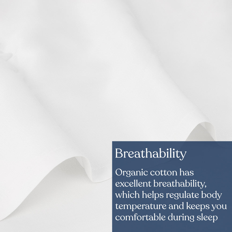 Delara GOTS Certified 100% Organic Cotton Flat Sheet 400TC, White, Full, 90"x105"