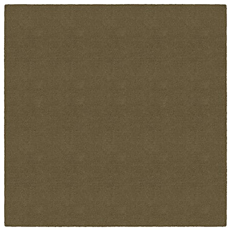 Flagship Carpets AS-70AL Americolors Almond