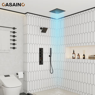 12inch Luxury Shower Dual Shower Head System With LED Light and Bluetooth, Matte Black