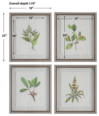 Uttermost 41461 Wildflower Study 22" x 19" Framed Floral Painting