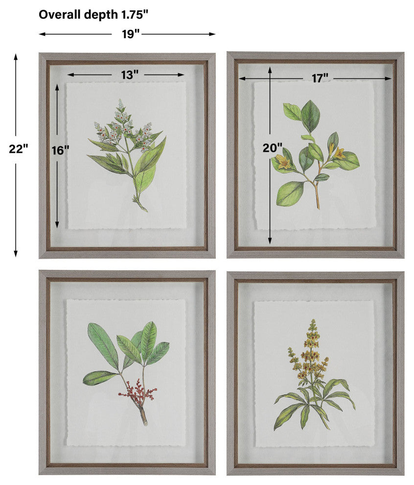 Uttermost 41461 Wildflower Study 22" x 19" Framed Floral Painting