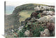"Our English Coasts (Strayed Sheep)" Artwork, 36"x26"