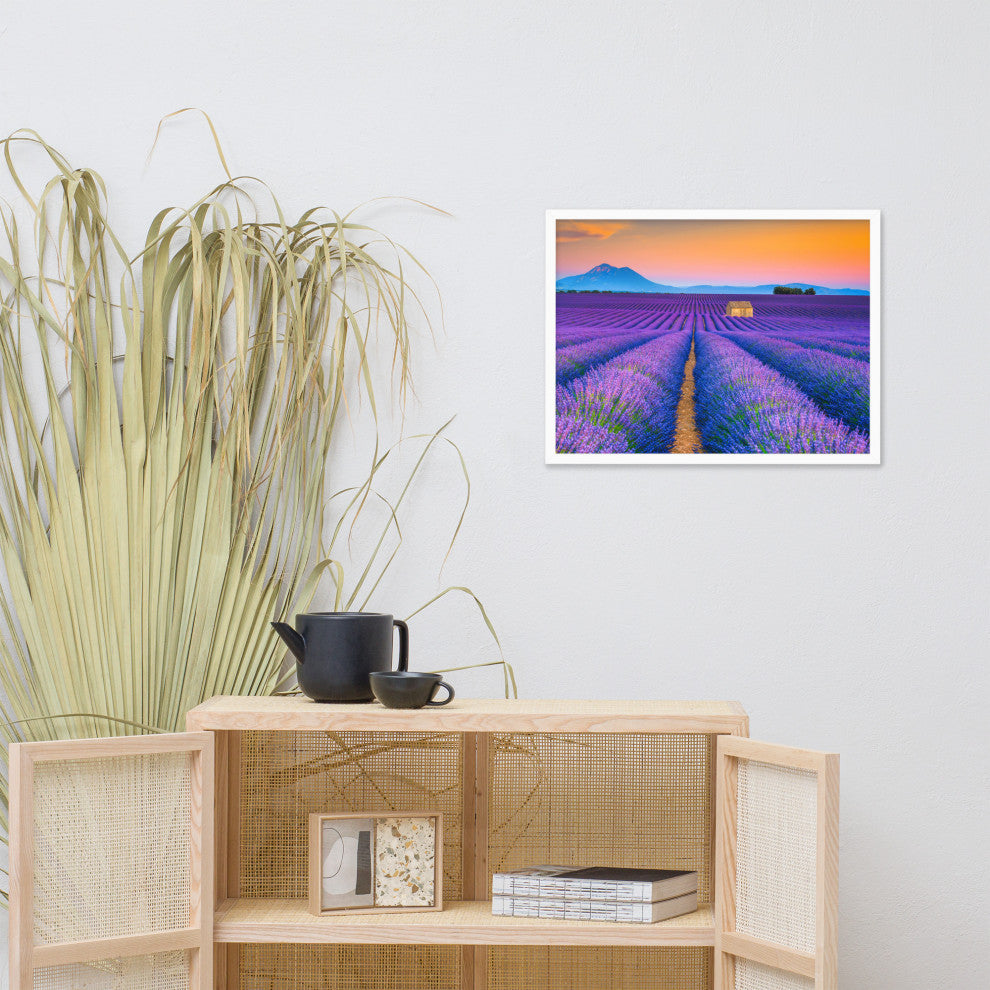 Blooming Lavender Field and Sunset Floral Landscape Framed Photo Wall Art Prints, White, 18" X 24"