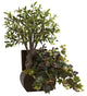 Olive Tree and Grape Leaf With Chest
