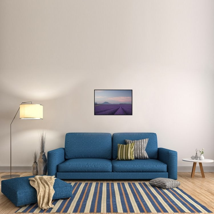 Lavender Field, 30"x20"