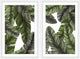 Boca Raton Diptych, 60x45