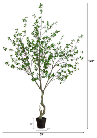 Infographic-style image with height/width measurements and lines.