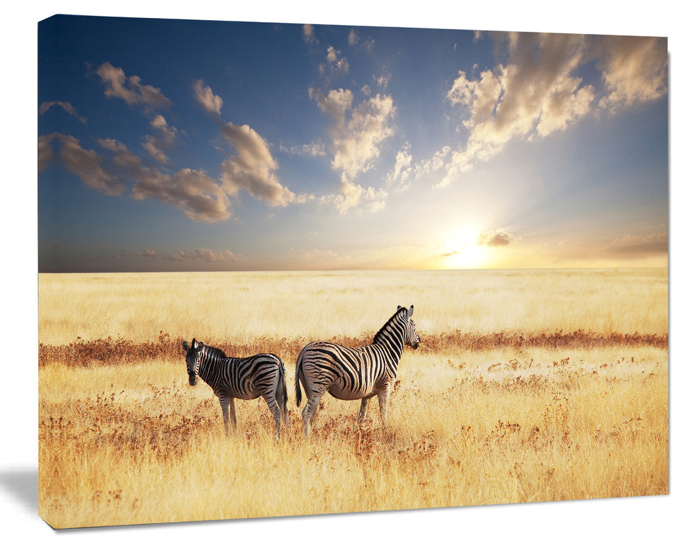 Zebras in Beautiful Grassland At Sunset, African Canvas Art Print, 20"x12"