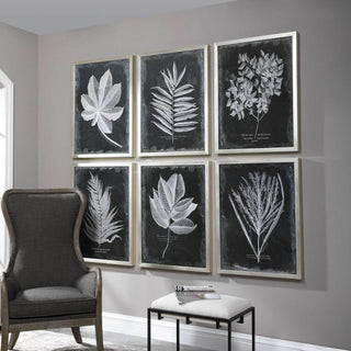 Uttermost Foliage Plastic Glass and Wood Framed Prints in Multi-Color (Set of 6)