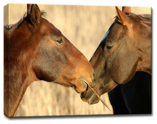 Ready2HangArt 'Horses' by Bartlettayes, 16x20"