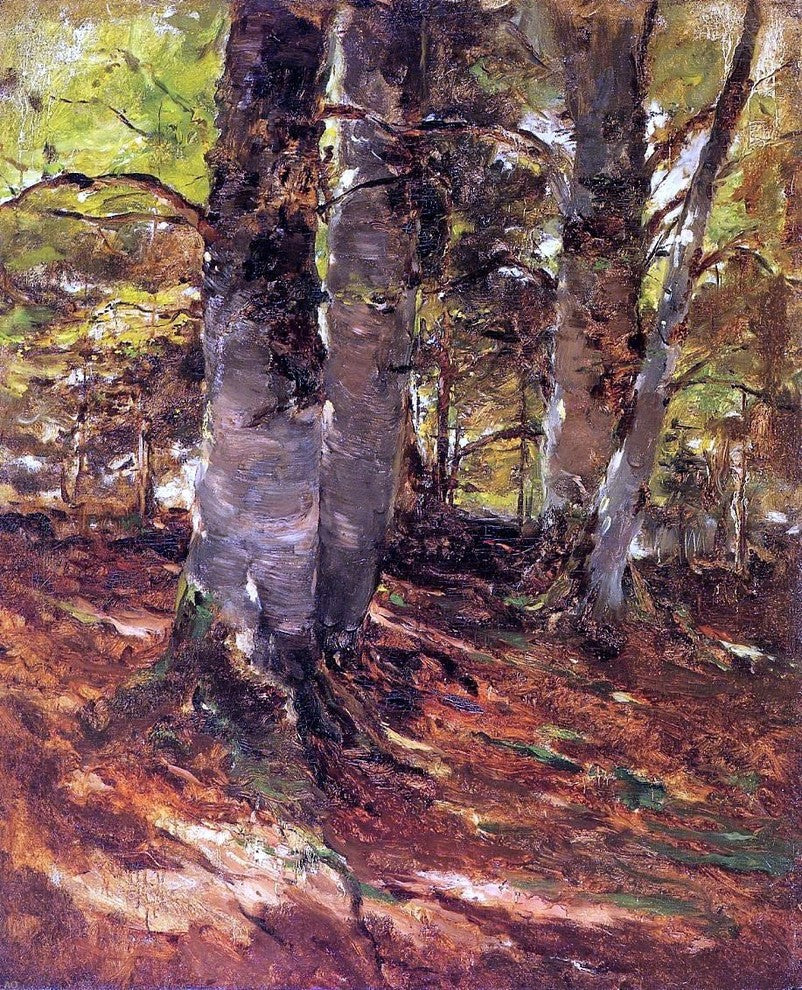 Frank Duveneck Beachwoods at Polling, 20"x25" Wall Decal Print