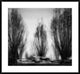 "One May Day" Framed Digital Print by Yvette Depaepe, 38x35"