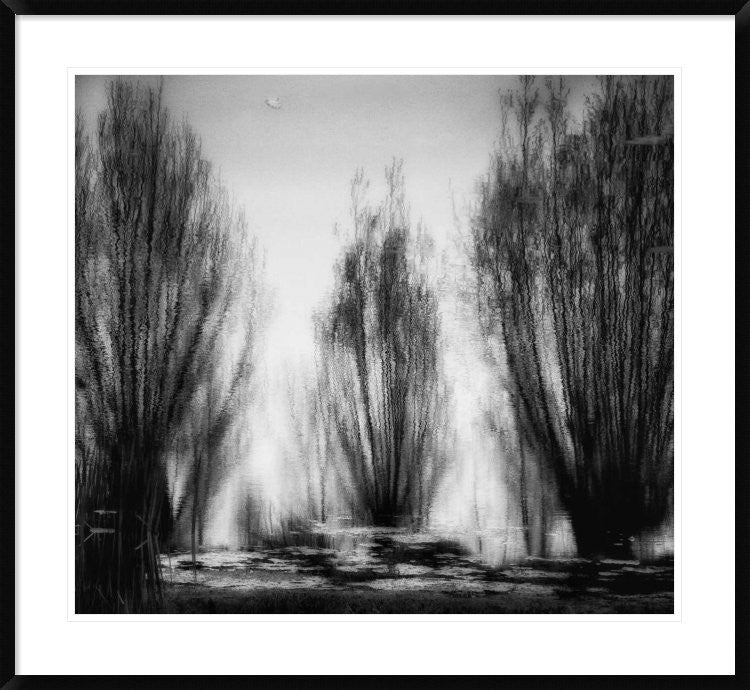 "One May Day" Framed Digital Print by Yvette Depaepe, 38x35"