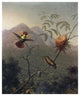 "Tufted Coquette" Digital Paper Print by Martin Johnson Heade, 15"x18"